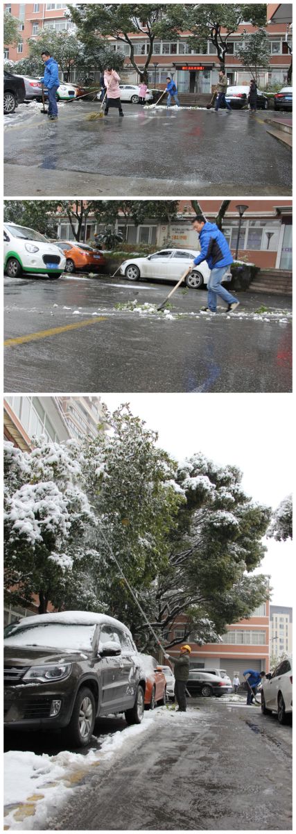 一夜飘雪路难行 齐心协力保通畅